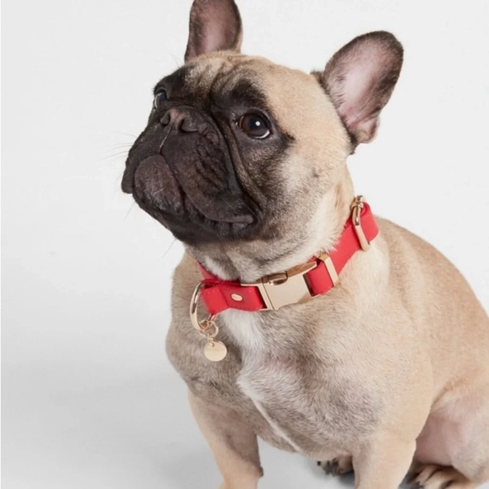 Express Red Faux Leather XS Dog Collar- NWT